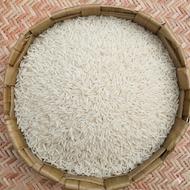 Rice